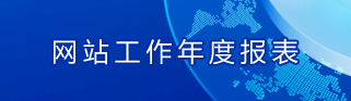 政府网站年度报表