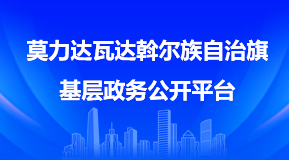基层两化